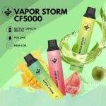 Vapor Storm風暴5000口拋棄式電子煙｜買五送一・13款口味